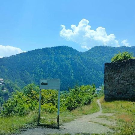 Guest House Gogias Cixe Borzsomi Kültér fotó