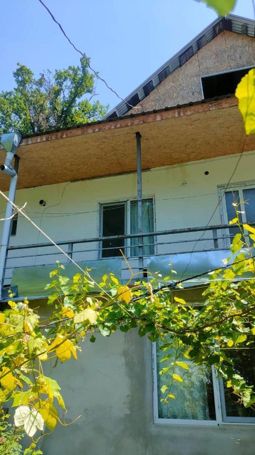Guest House Gogias Cixe Borzsomi Kültér fotó