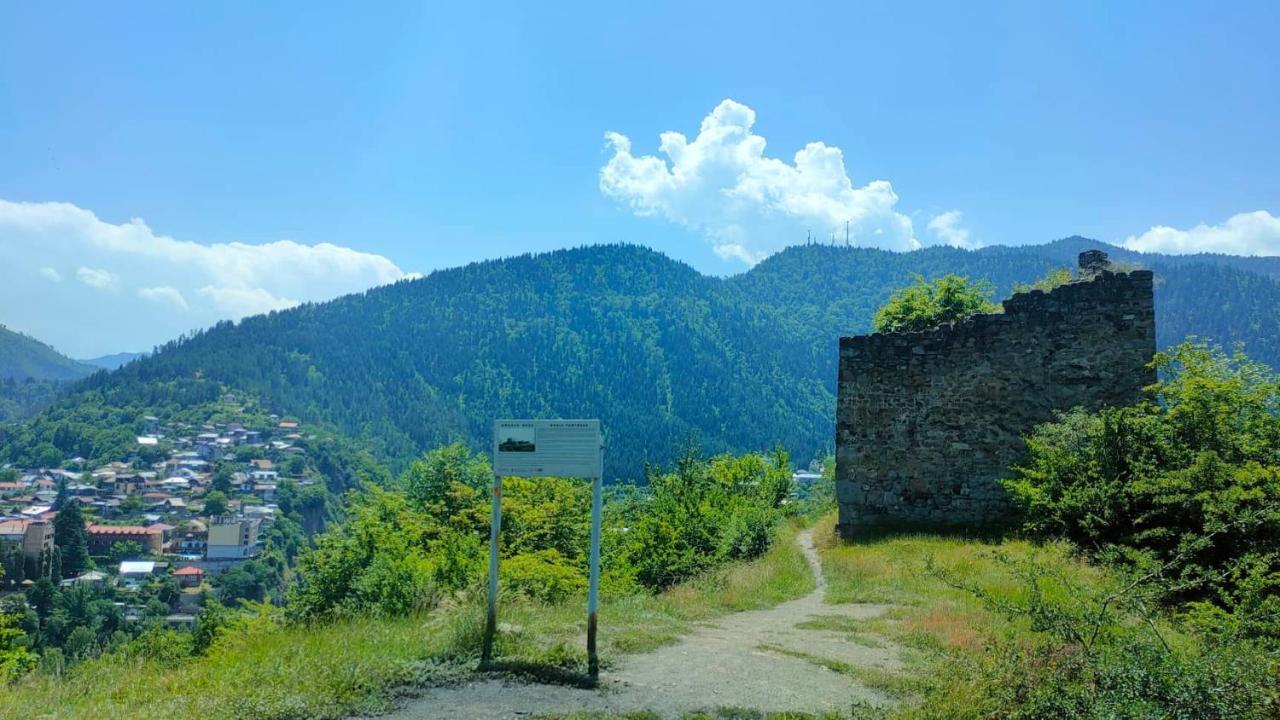 Guest House Gogias Cixe Borzsomi Kültér fotó
