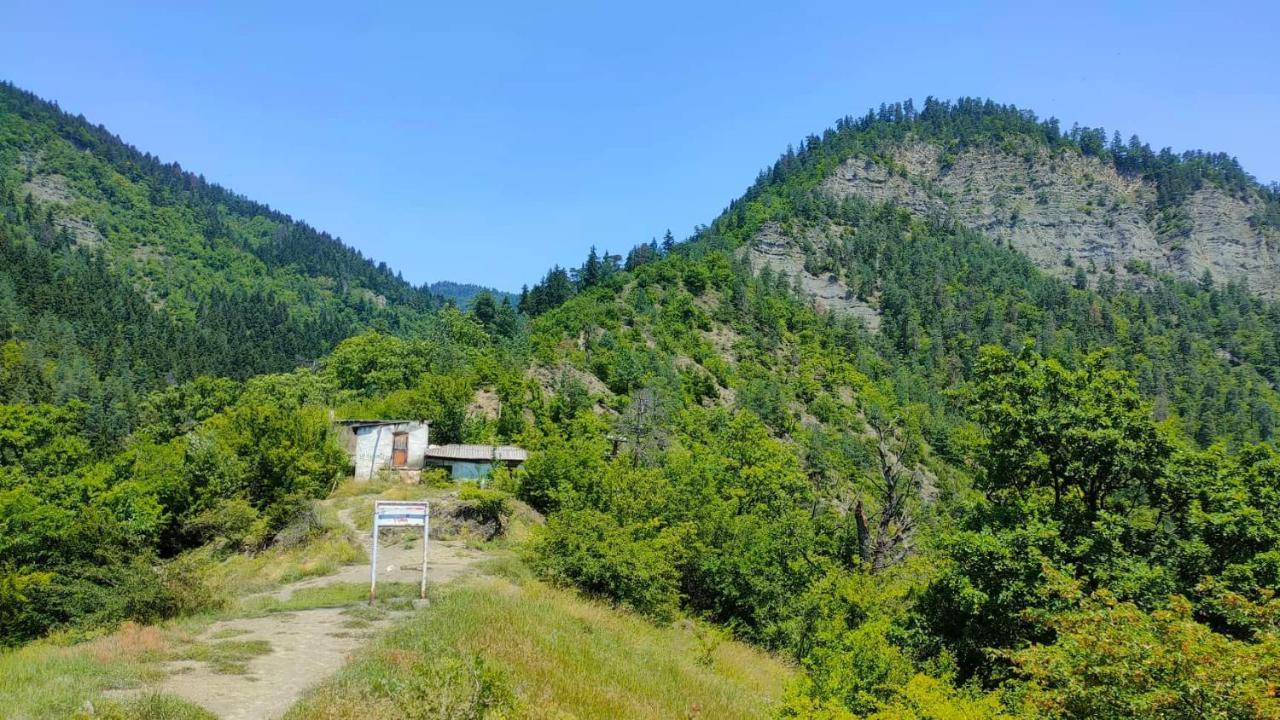 Guest House Gogias Cixe Borzsomi Kültér fotó