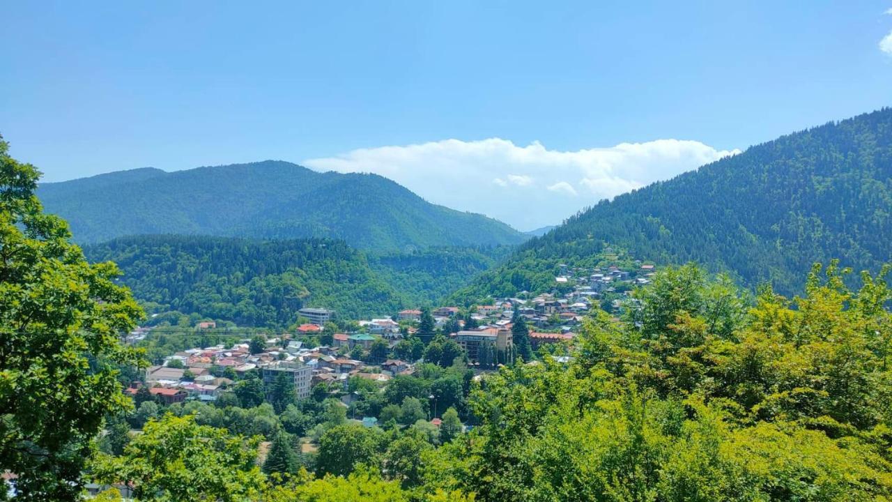 Guest House Gogias Cixe Borzsomi Kültér fotó