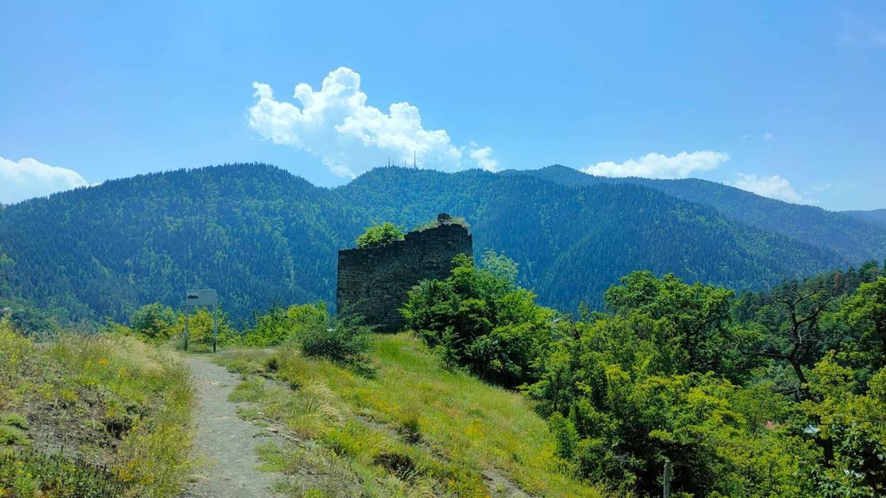 Guest House Gogias Cixe Borzsomi Kültér fotó
